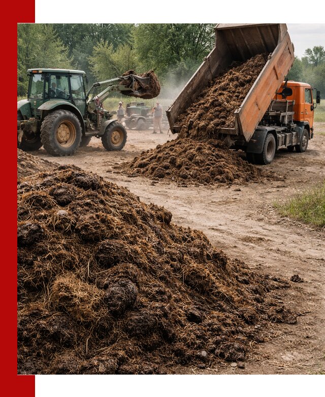 Доставка навоза самосвалами в Гулькевичах для сельхозпотребностей
