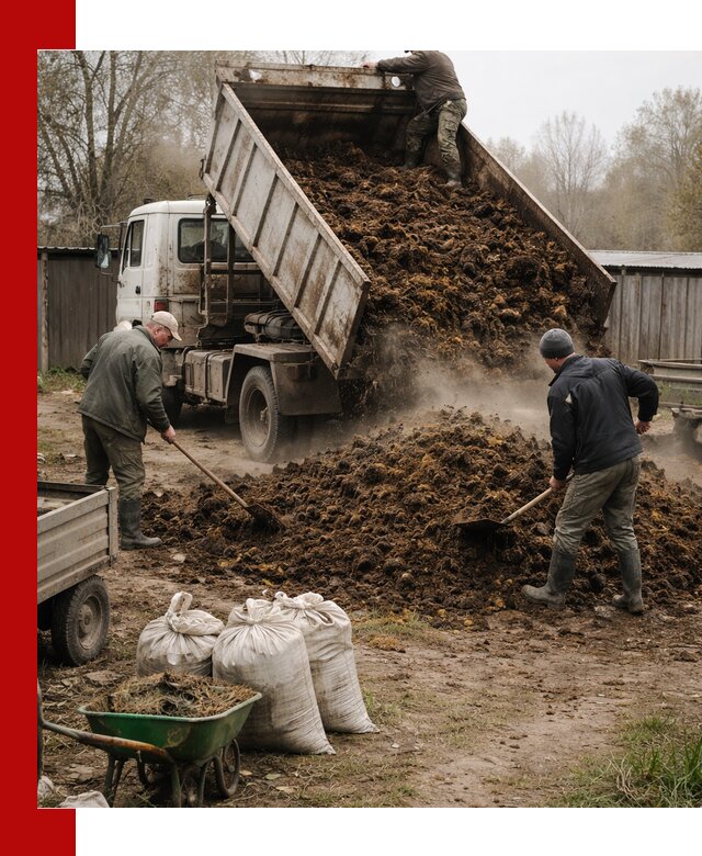 Доставка коровьего навоза самосвалом в Гулькевичах